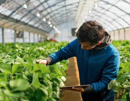 student studying plants in a greenhouse