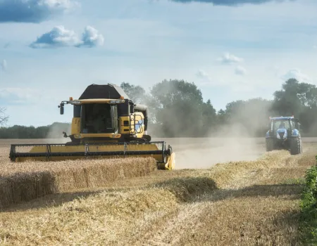 Combine harvesters in a field