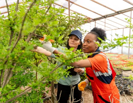 agriculture peer learning