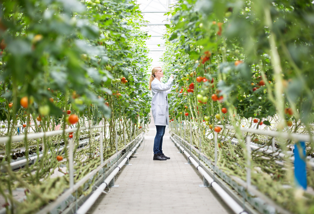 The role of GuildHE institutions in driving the UK's green transition ...