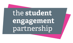 Student engagement in smaller institutions